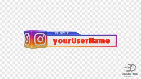 Instagram Profile Reveal